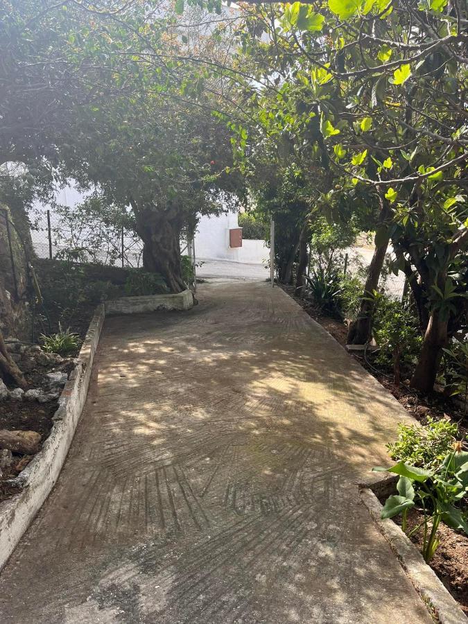 Aegean Summer House Poros Town Exterior photo